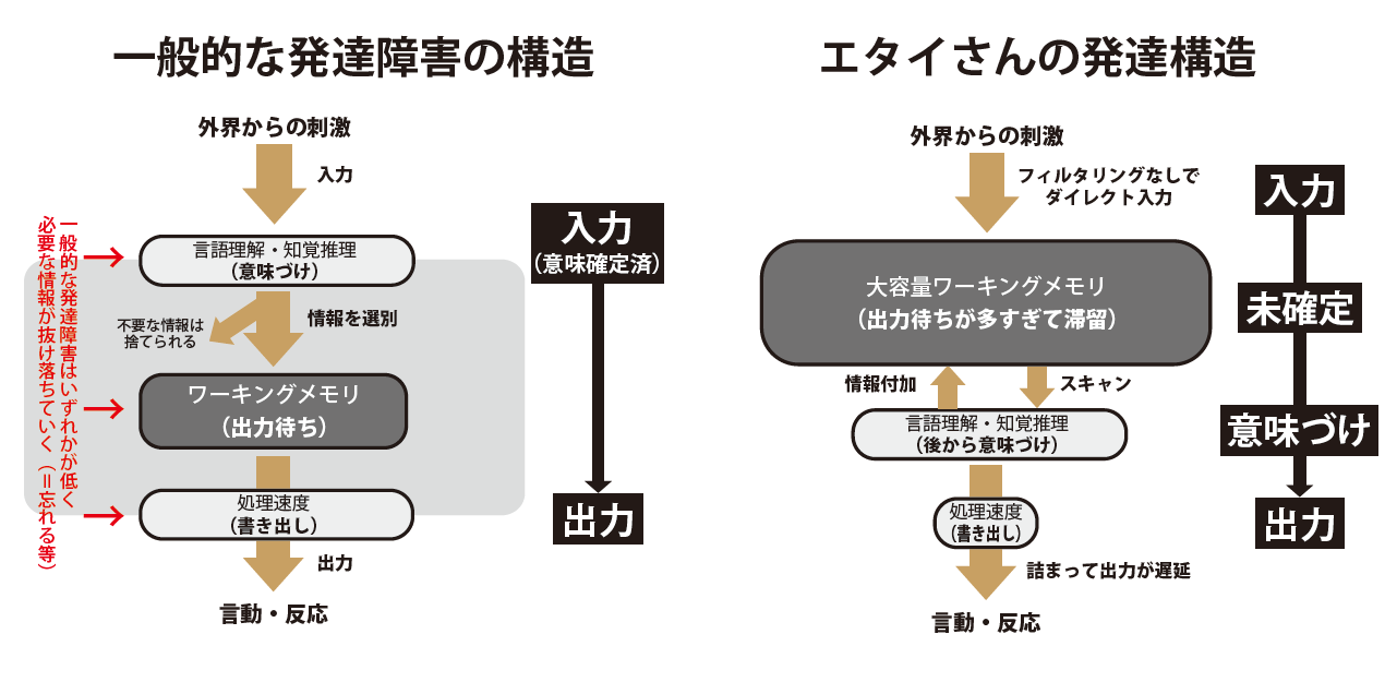 エタイさんの発達構造（wikibook版）.png